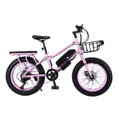 China Cheap Price Steel 2021 20 Inch Ebike Fat Tire /electric Fat Tire City Bike /Snow e Fat Tire Fat Tire Electric Bike For Sale for sale