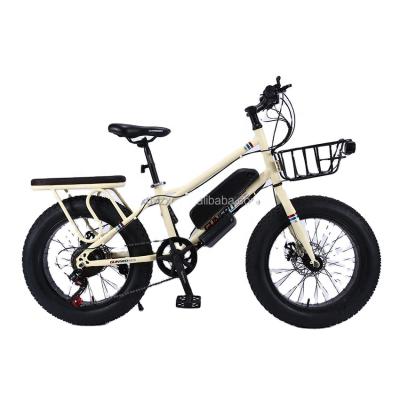 China 2021 steel fat tire 20 inch Ebike city bike /electric fat tire city snow bike electric bicycle big tire electric bike for sale