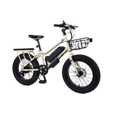 China China popular steel fat tire snow customized 20 sizes ebike fat tire electric bike bicycle, city electric fat bike for sale