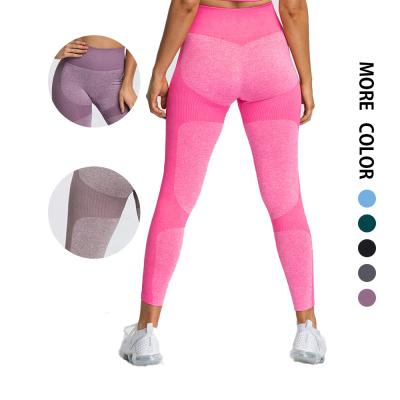 China Active Sports Pants Yoga Wear Women Breathable High Waisted Seamless Yoga Leggings Fitness for sale