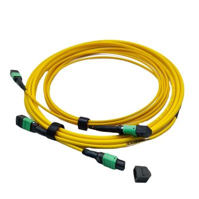 China FTTH/data center manufacture SM OS1 G652D 12 Core MPO/MTP Patch Cord Fiber Optic Cable 1M LSZH Wasp Female Polarity A for sale