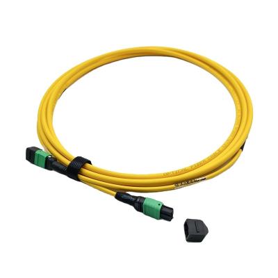 China FTTH/data center manufacture SM OS2 G657A1 24 Core Male MPO/MTP Patch Cord Fiber Optic Cable 2M LSZH Wasp Polarity B for sale