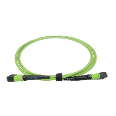 China FTTH/data center OEM fabricate MM OM5 12 core MPO/MTP male/female patch strap 1M 2M 10m LSZH lemon green jacket 3.0mm for sale