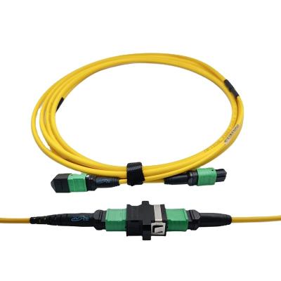 China FTTH/data center manufacturing SM OS1 OS2 G652D/G657A1 12 core 24 core MPO/MTP fiber optic cable 5M 10m LSZH female wasp 3.0mm for sale