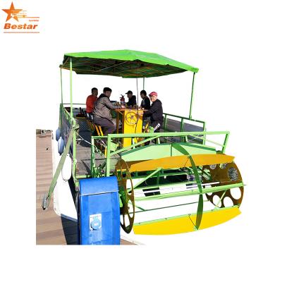 China Electric Pedal Human Power Party Cruise Gas Motorcycle Boat For Tourist 6 x 2.2 x 3.0M for sale