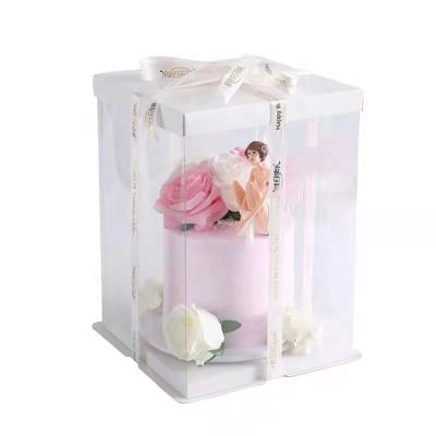 China Biodegradable PET Large Transparent Cake Box Packing Log Clear Plastic Cake Box 20cmx20cm Transparent for sale