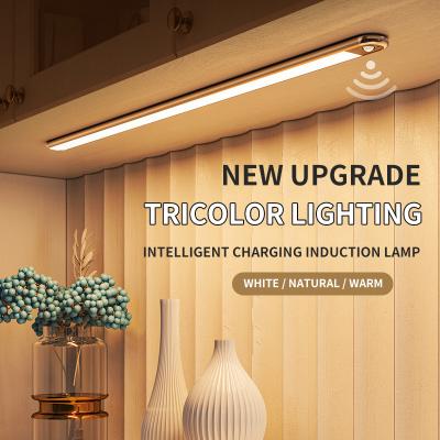 China Modern Cabinet Lamp Wardrobe Light For Indoor LED Under Cabinet Light USB Rechargecable Night Light for sale