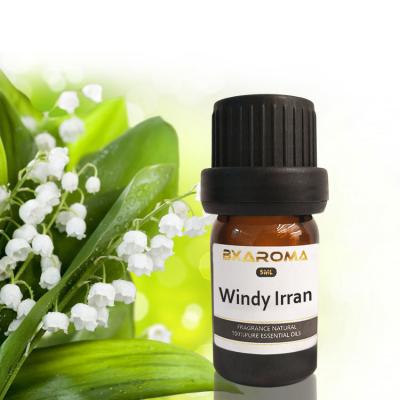 China Ilan Aroma Diffuser Essential Oil Sustainable Car Air Freshener Fragrance 500ml for sale