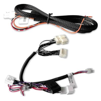 China Automobile Factory Manufacturing 3 Series 1 Series 3200 Gev05 Smart Wire Harness For Auto Tailgate Electrical Wiring Harness for sale