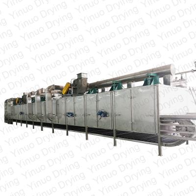 China Medicine Processing DW Model Continuous Food Conveyor Mesh Belt Dryer For Drying Coconut Copra for sale