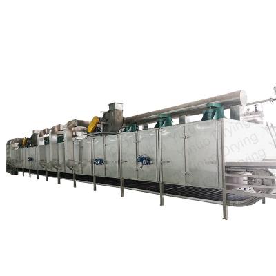 China Medicine Processing DW Model Quality Stainless Steel Food Conveyor Continuous Single Layer Chilli And Cassava Chips Mesh Belt Dryer for sale