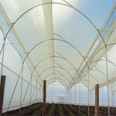 China UV/AF/AD/IR Lettuce Agricultural Greens Hydroponic System Plastic Film Multi Span Greenhouse for sale