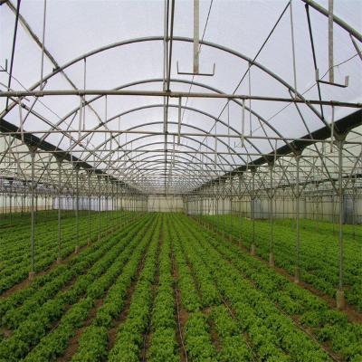 China Professional Manufacturers UV/AF/AD/IR Agricultural Chinese Smart Greenhouse Invernadero Multi Span Greenhouse for sale