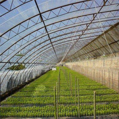 China UV/AF/AD/IR Mulching Agricultural Films LDPE Green House UV Film Coex PO Greenhouse Growing 5 Layers White/Blue Film Customized 4-28m for sale