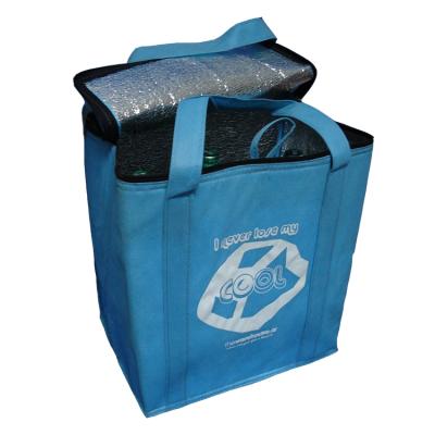 China Thermal Nonwoven PP Shopping Bag Cooler Bag PP Nonwoven Shopping Bag for sale