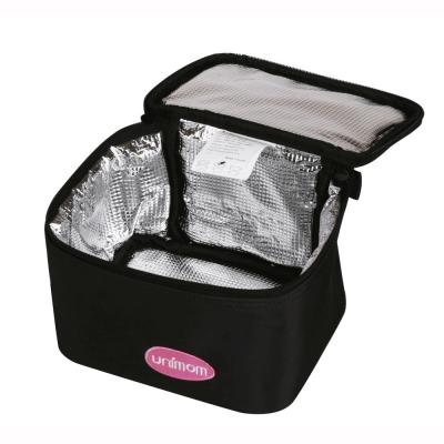 China Fashion Thermal New Design Car Exquisite Packaging Organizer Bag With Cooler for sale