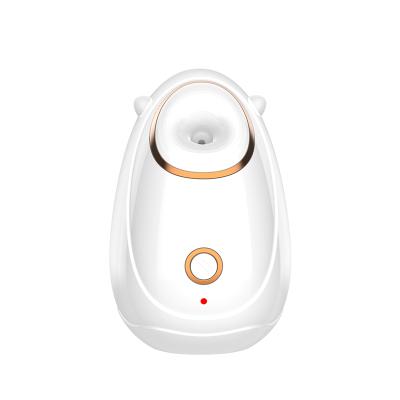 China Portable Top Design Ultrasonic Hot Air Humidification Steame Facial Anion Car Nebulizer Face Cleansing Nano Mist Sprayer for sale