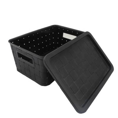 China New Popularity Hot Sale PP Rattan Handle Viable Plastic Pharmacy Kitchen Modern Portable Storage Basket With Lid for sale