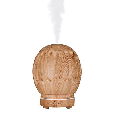 China Pet Home Oval Bottle Sprayer Amazing Electric Humidifier Oil Diffuser New for sale