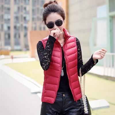 China Korean version light slim short comic jacket large size waterproof women's sleeveless vest for sale