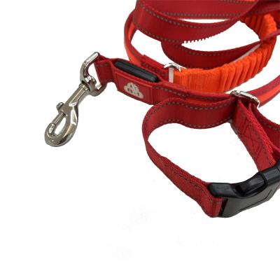 China Lights Complete Features of Leather Dog Collar and Leash Set for sale