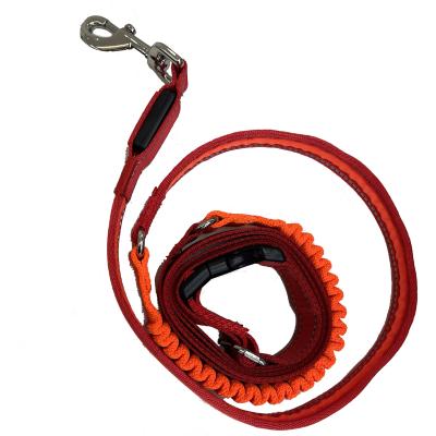 China Lights Wholesale Adjustable Nylon Cat and Dog Rope Collars Leashes for sale