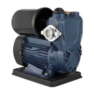 China Family Houses Intelligent Frequency Conversion Cold And Hot Water Self-priming Pump for sale