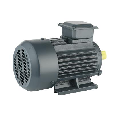 China YE2 series YE2 horizontal three-phase asynchronous motor for sale