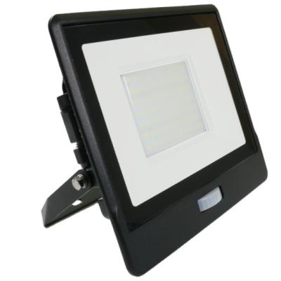 China Garden Factory Wholesale 50W Go-Tuya Series Smart Flood Light With BLUETOOTH Sensor Led Outdoor Flood Light For Garden for sale