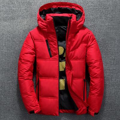 China Winter wear coat QUICK DRY outdoor jacket man shorts embroidereddly down jacket men chinese style woven fabric slim classic zipper 2023 for sale