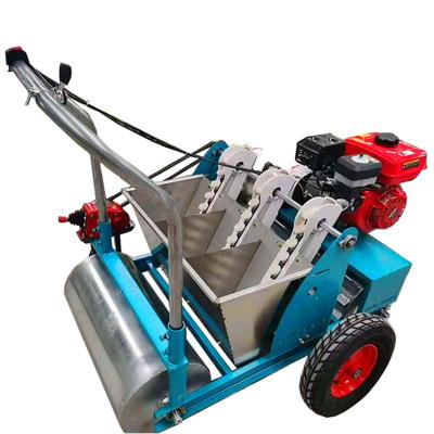 China High quality new type hand push garlic planter agricultural garlic planting machine garlic planter sale for sale