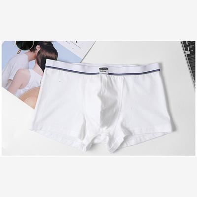 China Factory Price Antibacterial Mens Breathable Boxer Briefs And Comfortable Cotton Underwear for sale