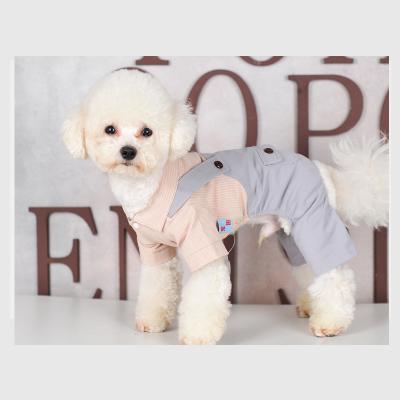 China Viable Made In China Top Quality Dog Pet Clothes Custom Made Luxury Pet Costume for sale