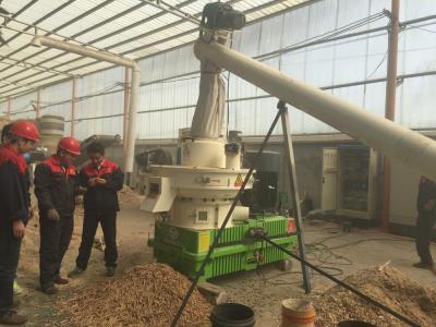 China Pellet Making Hot Sale Wood Pellet Making Machine Sawdust Pellet Mill Wood Pellet Production Line for sale