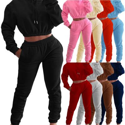 China Breathable High Quality plain blank tracksuit Embroidery two piece hoodies sets Thick Fleece women jogging suits for sale