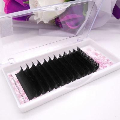 China Winged Quick Extensions Mink Eyelashes Extension Lash Fan Fake Vendo Easy Fan Eyelashes for sale