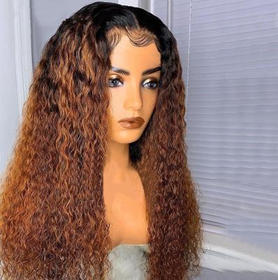 China Afro Soft Smooth Thick Curly Curly Hair Full Lace Wig Dark Brown Pre Plucked Human Lace Front Wig With Baby Hair for sale