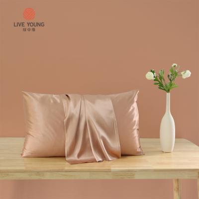 China High Quality100% Pure Silk Mulberry Anti-Microbial Pillow Case Anti-Static Silk Pillow Case Set for sale