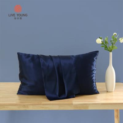 China Mulberry Silk Anti-Static Anti-Microbial Pillow Case 100% Pure Silk Pillow Case Set for sale