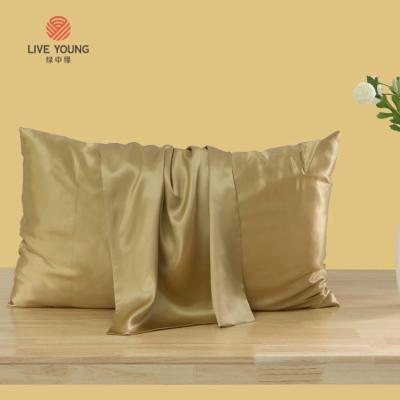 China High Quality100% Pure Silk Mulberry Anti-Microbial Pillow Case Anti-Static Silk Pillow Case Set for sale