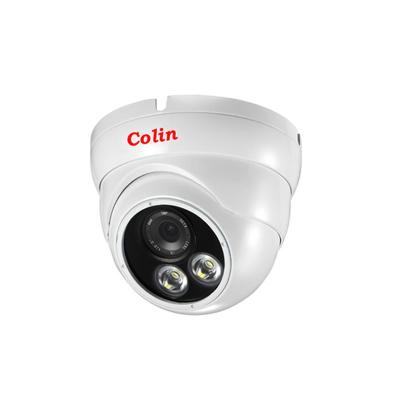 China Waterproof / Waterproof Professional Indoor Shenzhen Webcams 2.0mp CCTV IP Camera Dome Camera for sale