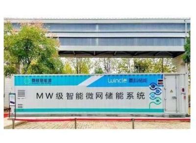 China Customized 2mwh LiFePO4 40FT Container Storage Battery Systems for Island Micro Grid for sale