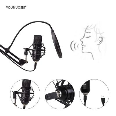 China Handheld Microphone Younuosis Condenser USB 700 Microphone Mac Recording Studio Desktop Microphone for Computer Laptop for sale