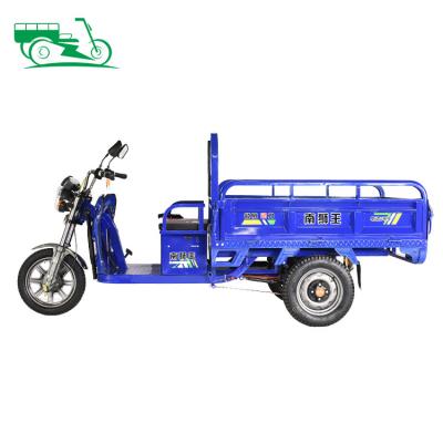 China Large Capacity 350kg Tricycle Body 3 Wheel Electric Ride Cargo/Tricycles Open Bike 800w 1000w Pedicab Replacement Adult Cargo for sale