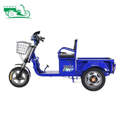 China China Factory Double Brake 550w 650w Body Electric Ride Cargo/Tricycles Cheap Color Replacement Open Adult Blue Cargo for sale