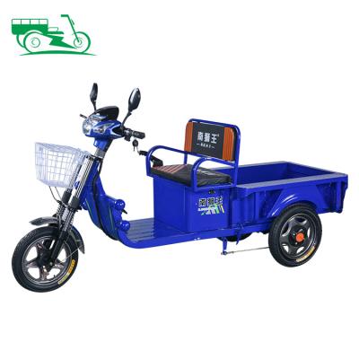 China New Design Pedicab 550w 650w China Cargo Electric Ride Tricycle Body 3 Wheels Adult Open Blue Cargo Replacement for sale