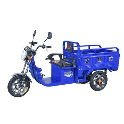 China Super Bright Open Adult Cargo Bike 550w 650w Pedicab Replacement Electric Tricycle Headlights Ride Cargo/Tricycles 3 Wheel Body for sale