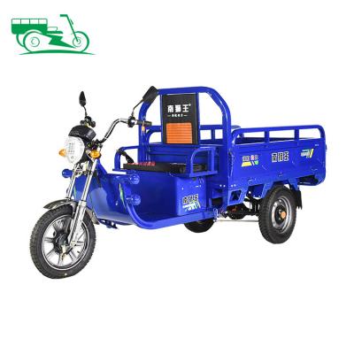 China High Cargo/Alternate Walk Light Led Trike 800w 1000w Pedicab Wheel Headlights Open Wheel Adult Bike Cargo Electric Tricycles for sale