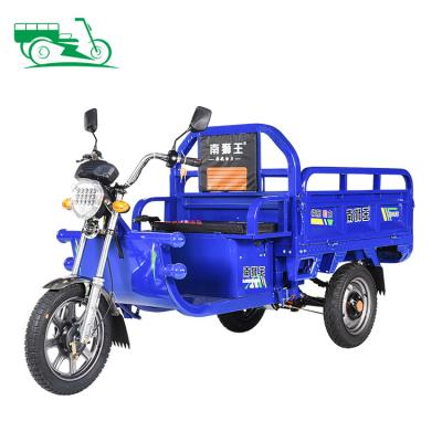 China High Cargo/Alternate Walk Light Led Open Body 3 Wheel Tricycle 650w 800w Adult Cargo Pedicab Electric Tricycles for sale