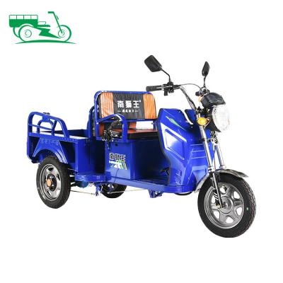 China Open Adult Recreational Electric Bike 650w 800w Pedicab Wheel Body 3 Wheel Seat Replacement Comfortable Ride Replacement Tricycle for sale